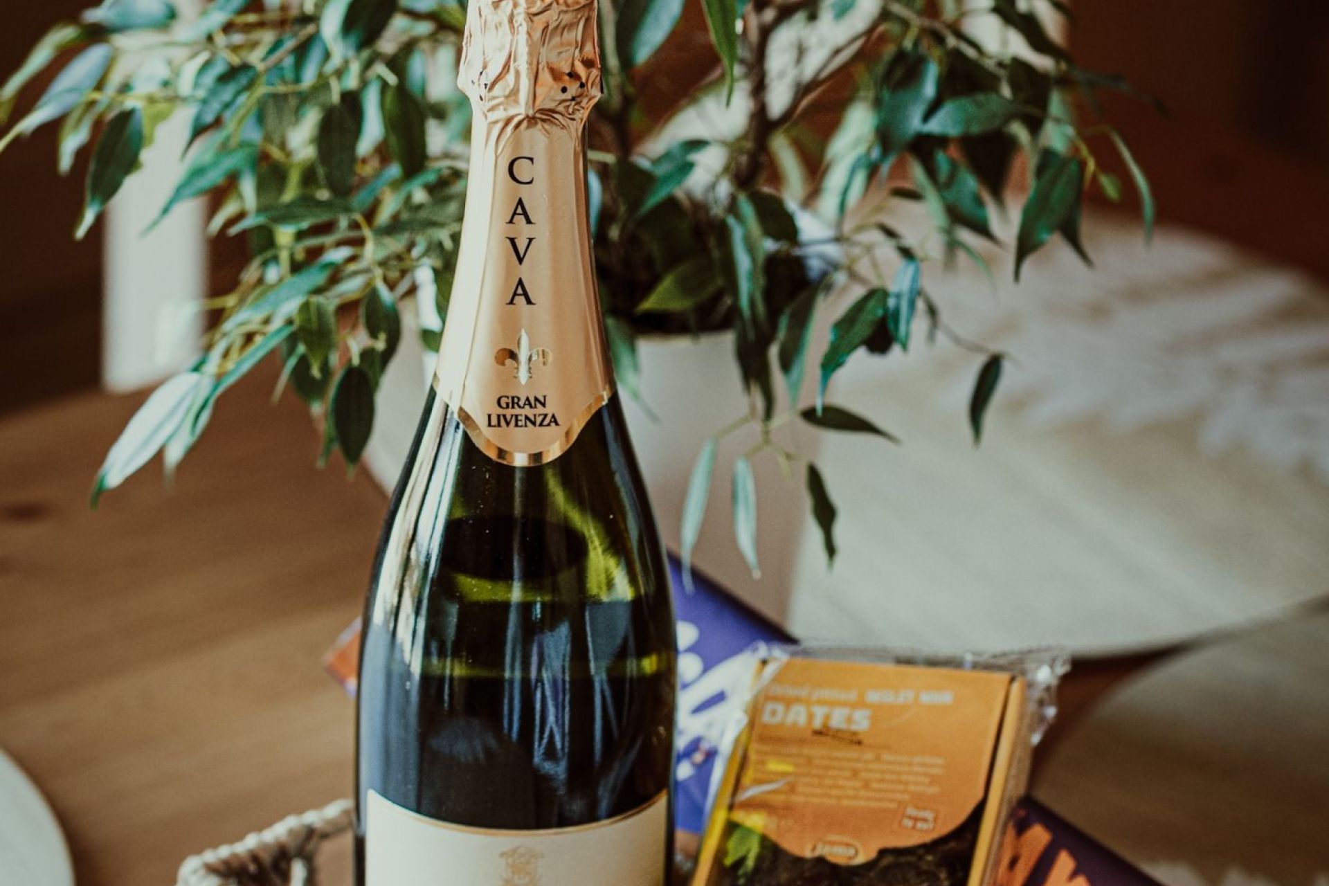 Intimate Apartment III