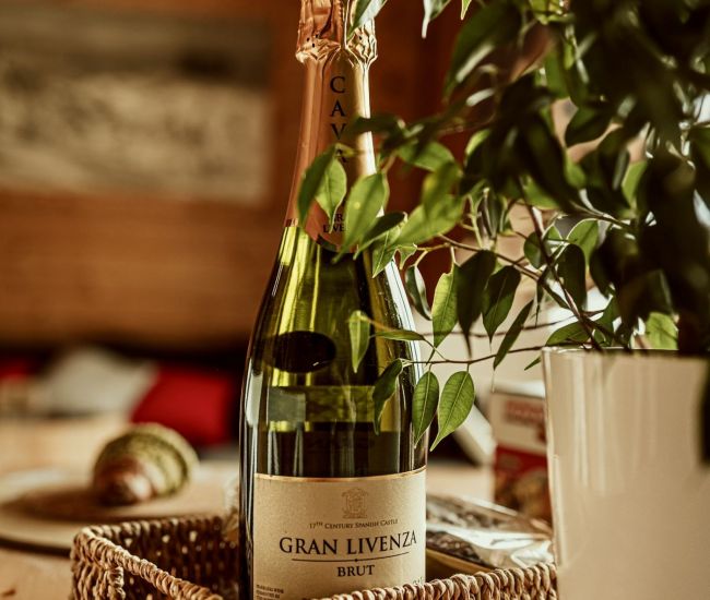 Spacious Apartment III